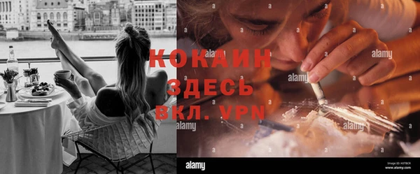 индика Алексеевка