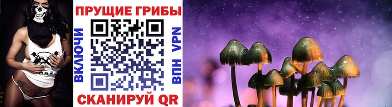 купить наркоту  mega сайт  Галлюциногенные грибы Psilocybine cubensis  Николаевск-на-Амуре 